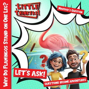 Cover - Why Do Flamingos Stand on One Leg?