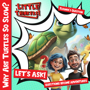 Cover - Why Are Turtles So Slow?