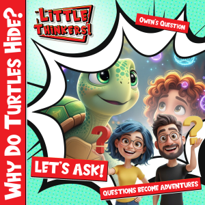 Cover - Why Do Turtles Hide?