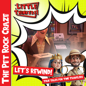 Lets Rewind! - The Pet Rock Craze (Cover)